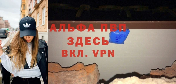 стаф Абинск