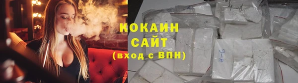 хмурый Инта