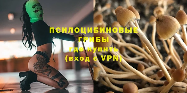 гидропоника Инсар