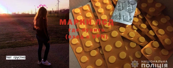 стаф Абинск