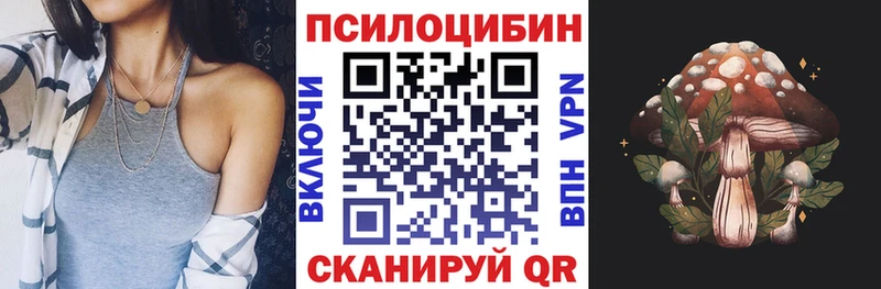 shop телеграм  Алейск  Галлюциногенные грибы мухоморы  ссылка на мегу онион 