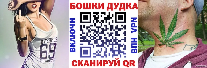 закладка  Алейск  МАРИХУАНА SATIVA & INDICA 